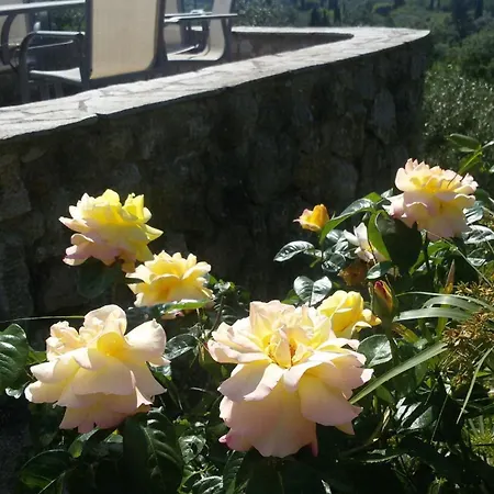 Lägenhet Corfu Escape